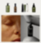 shopify3