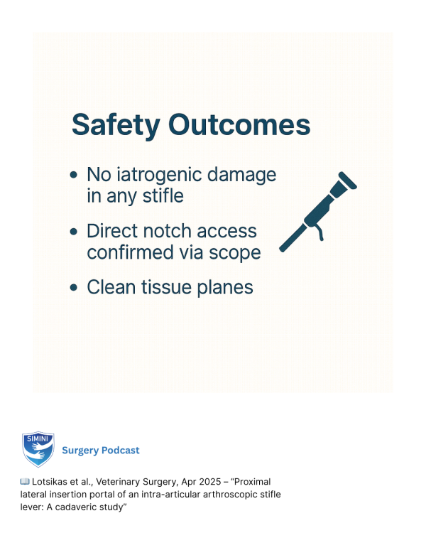 Proximal lateral insertion portal of an intra-articular arthroscopic stifle lever: A cadaveric study