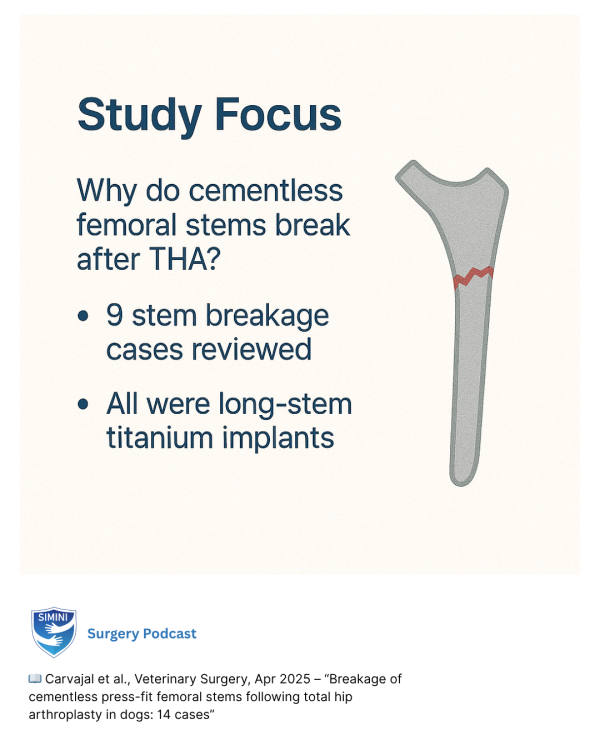Breakage of cementless press‐fit femoral stems following total hip arthroplasty in dogs: 14 cases (2013–2023)