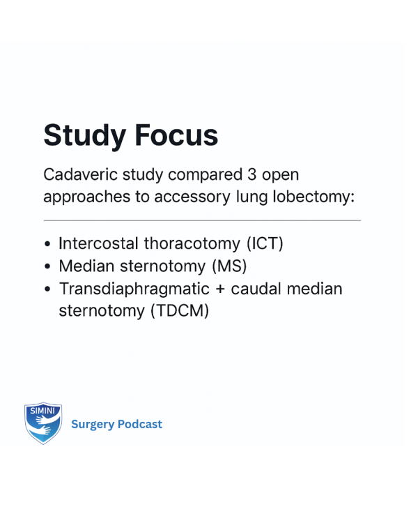 Comparison of three approaches for accessory lung lobectomy in the canine cadaveric model: Intercostal thoracotomy, median sternotomy, and a transdiaphragmatic approach combined with caudal median sternotomy