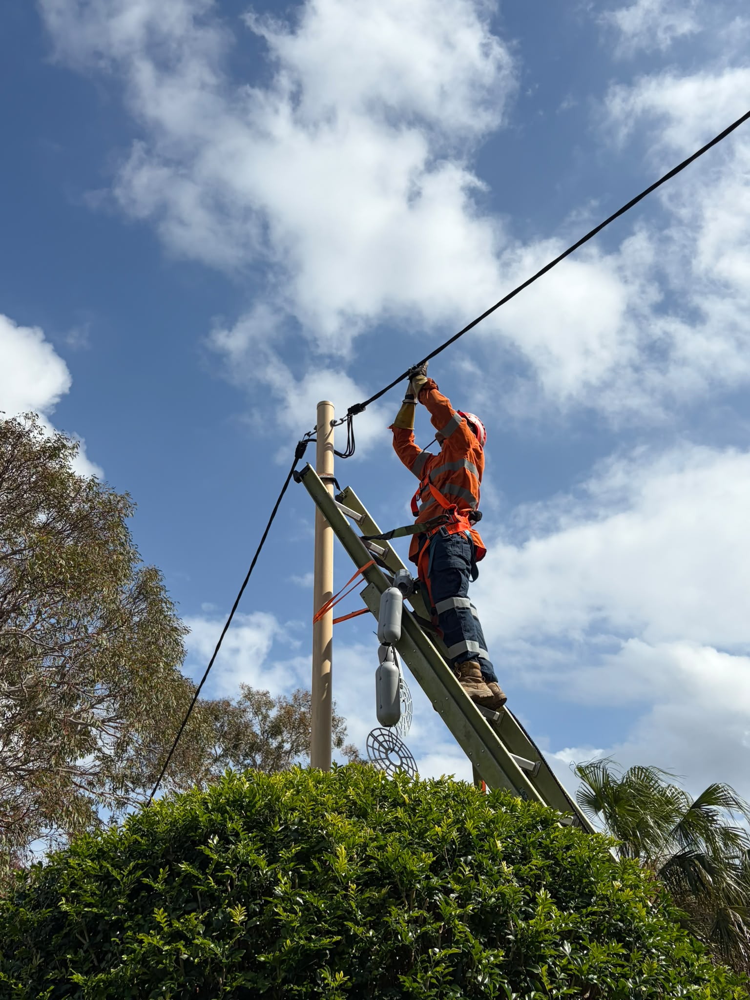 Utility worker in orange safety gear and helmet repairing or installing power lines while standing on a green ladder, with blue sky and clouds in the background, surrounded by trees and bushes.