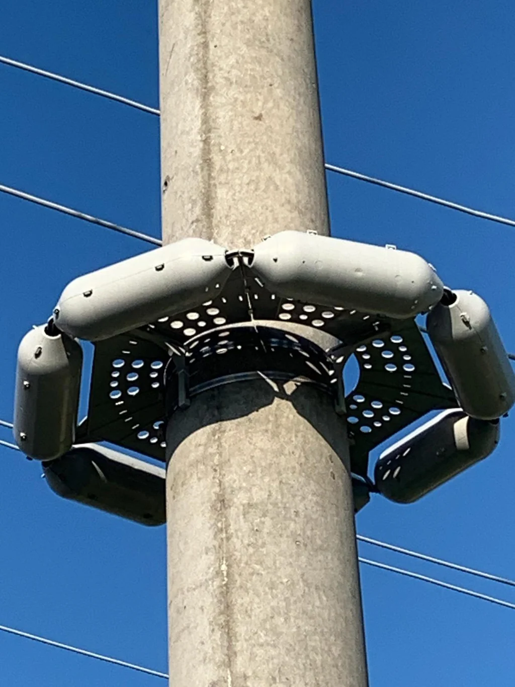Close-up of a steel utility pole with a circular pole guard device attached near the top, consisting of perforated metal and padded protective covers, set against a clear blue sky with power lines visible in the background.