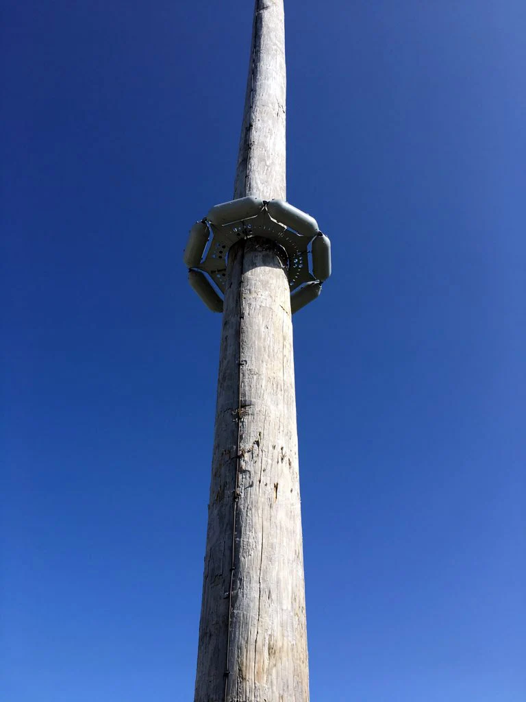 Tall wooden utility pole with a circular metal guard attached around it against a clear blue sky.