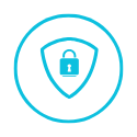 padlock in a shield within a circle icon