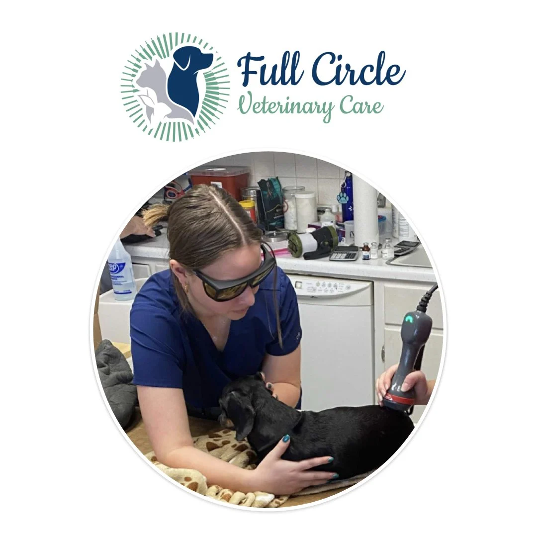 Full Circle Veterinary Care