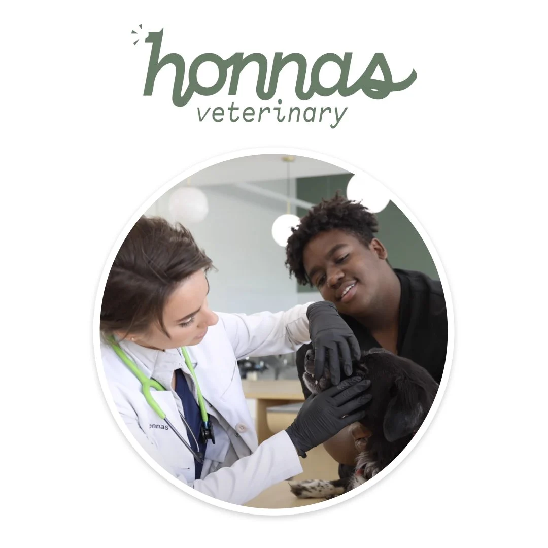 Honnas Veterinary