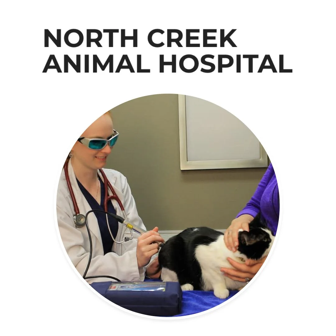 North Creek Animal Hospital