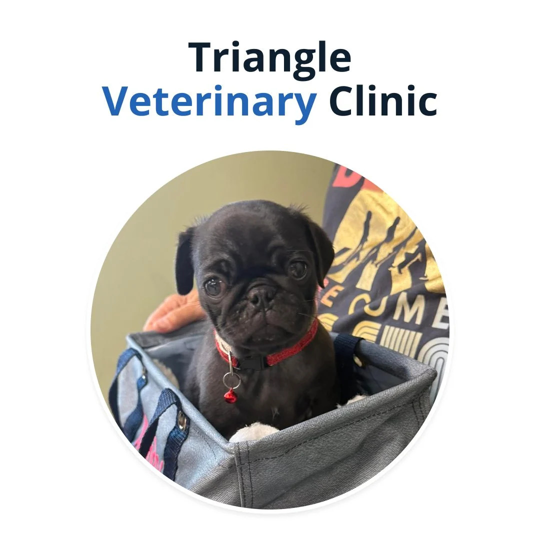 Triangle Veterinary Clinic