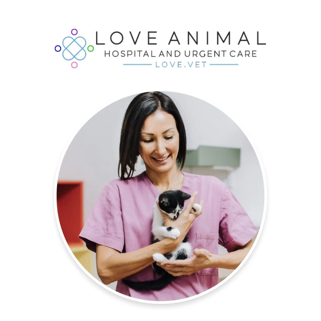 LOVE Animal Hospital