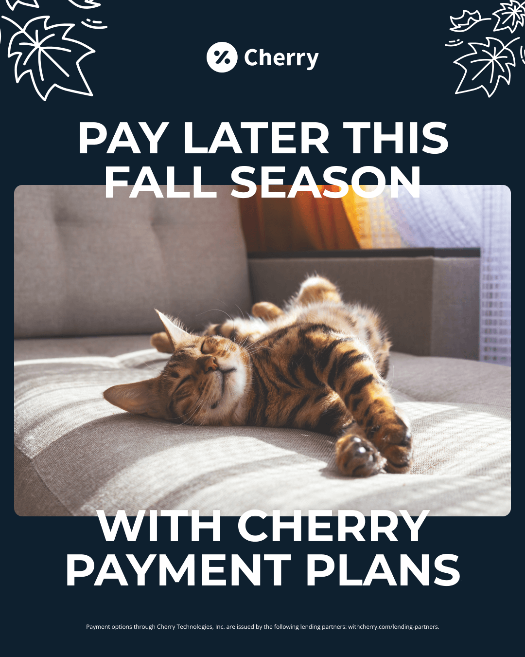 Fall