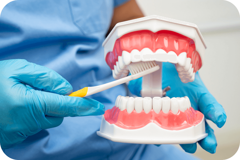 A prosthodontist teaches a patient how to brush their new dentures.