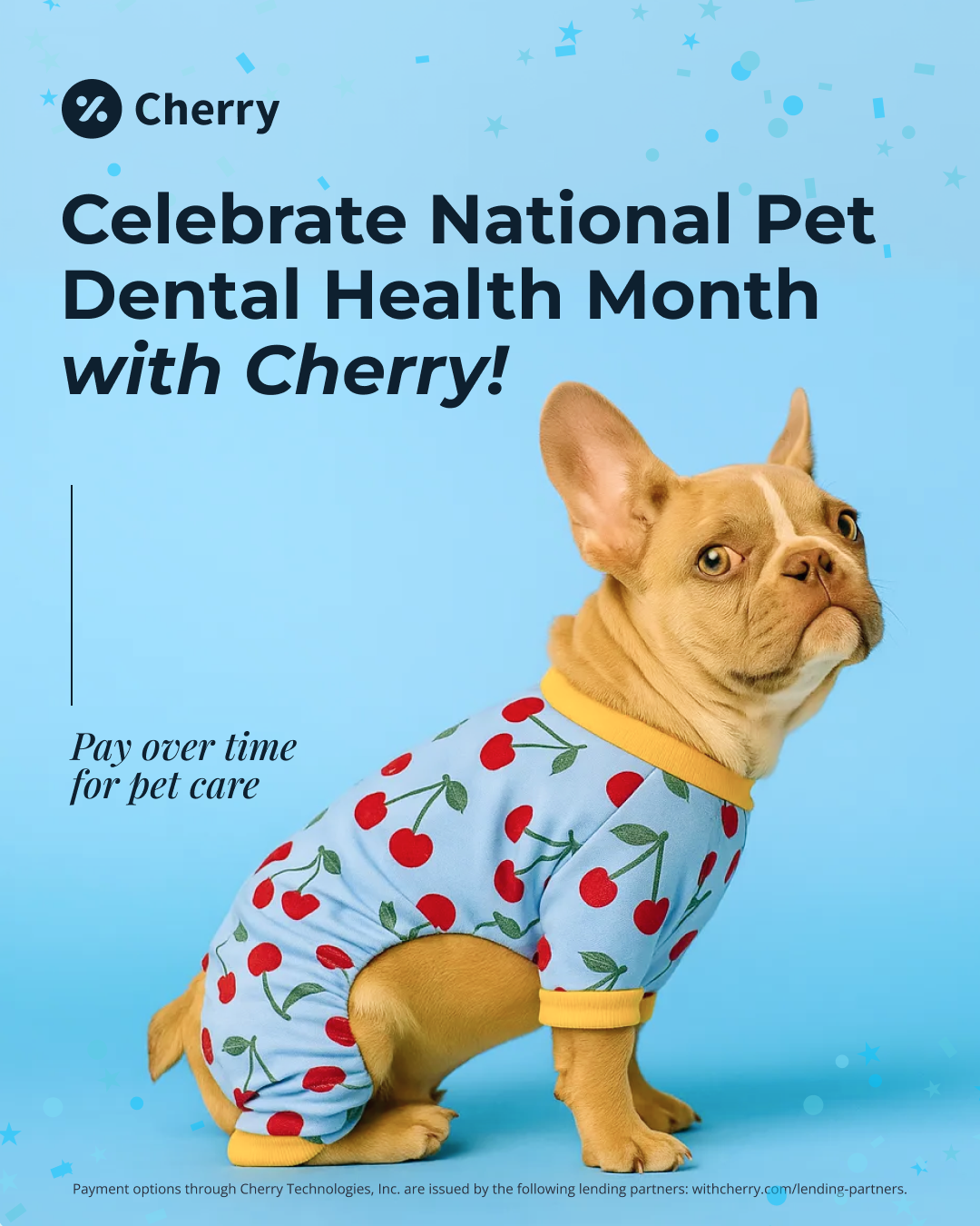 Pet Dental Health