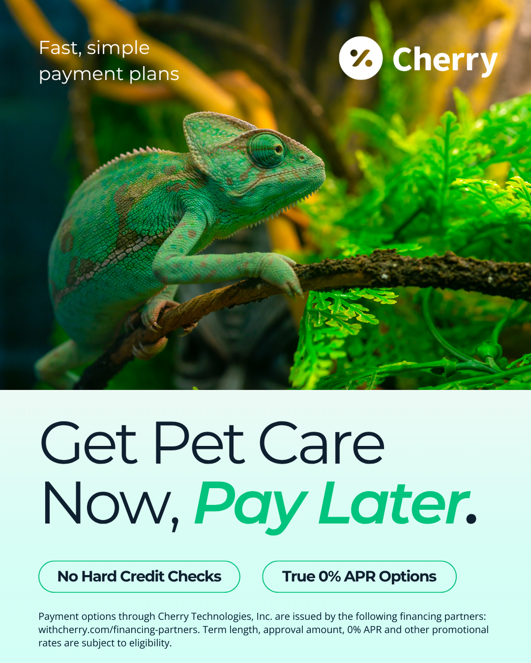 Veterinary