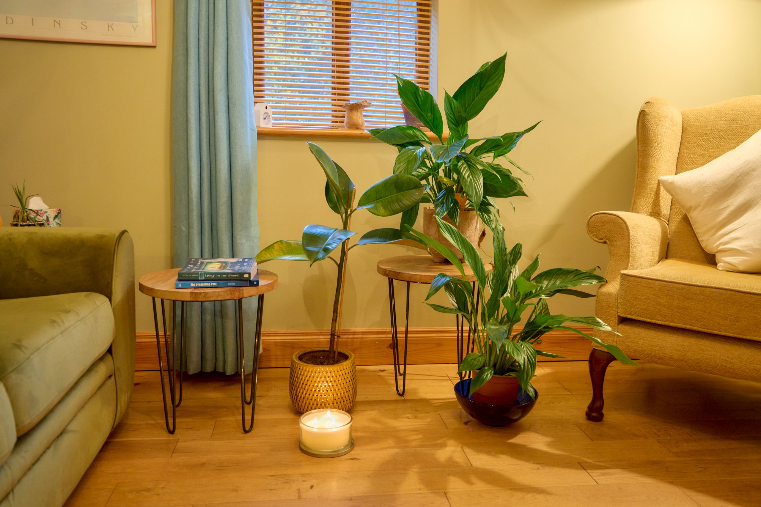 • Orchid in soft light on a wooden table in the therapy room