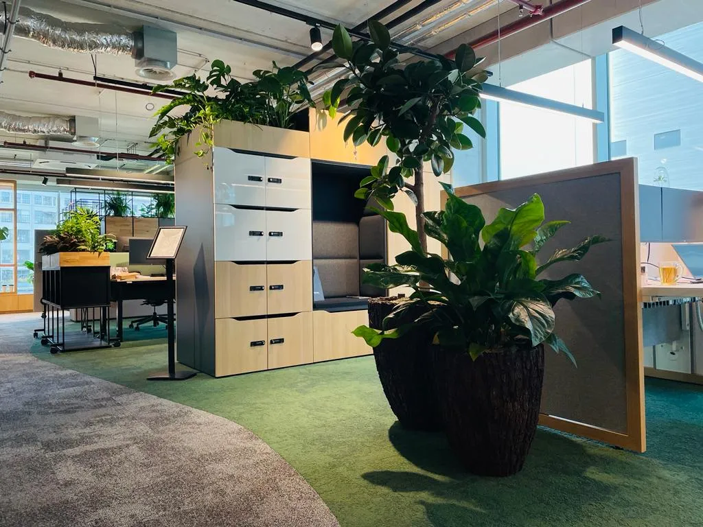 Dutch Design Week 2023 - Biophilic design