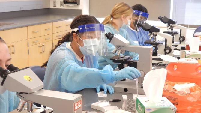 Health and life sciences