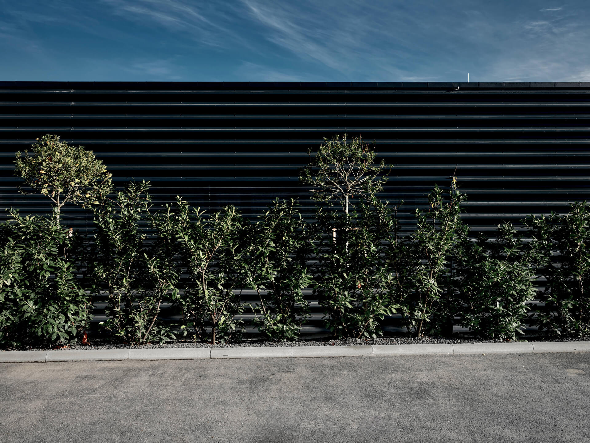 Pro-Ject Blockhaus in schwarz hinterseite umgeben von grünen Bäumen