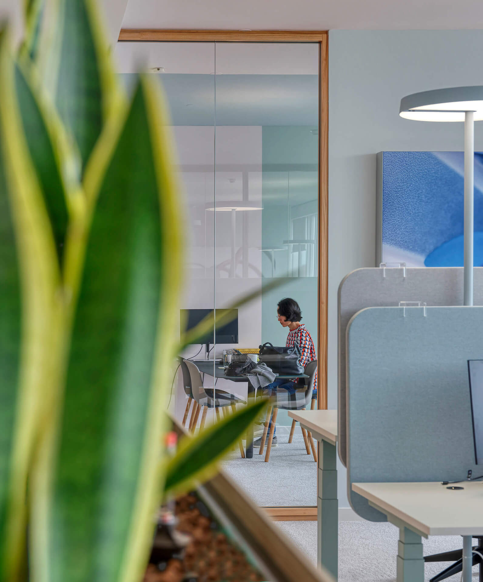 Borealis Bild neben Pflanze durch Büro