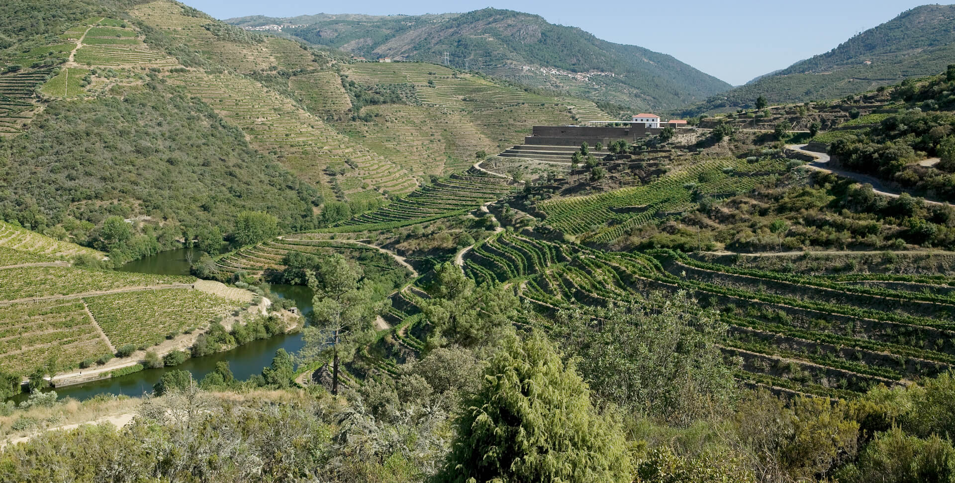 Niepoort Berge und Grünlandschaft