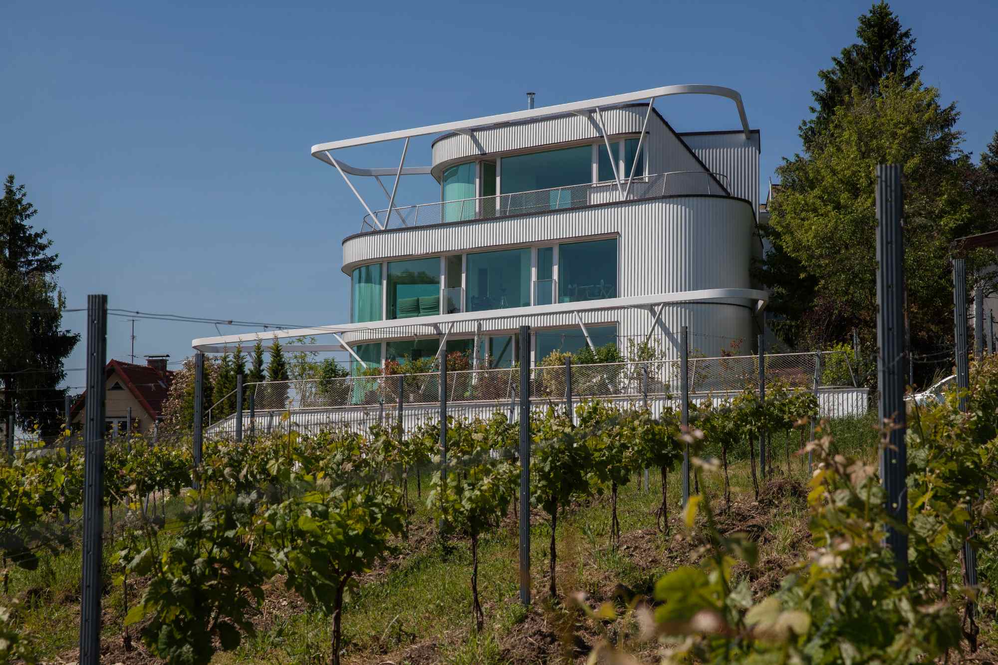 Hausansicht durch Weinstöcke mit Fokus auf moderne Bauweise.
