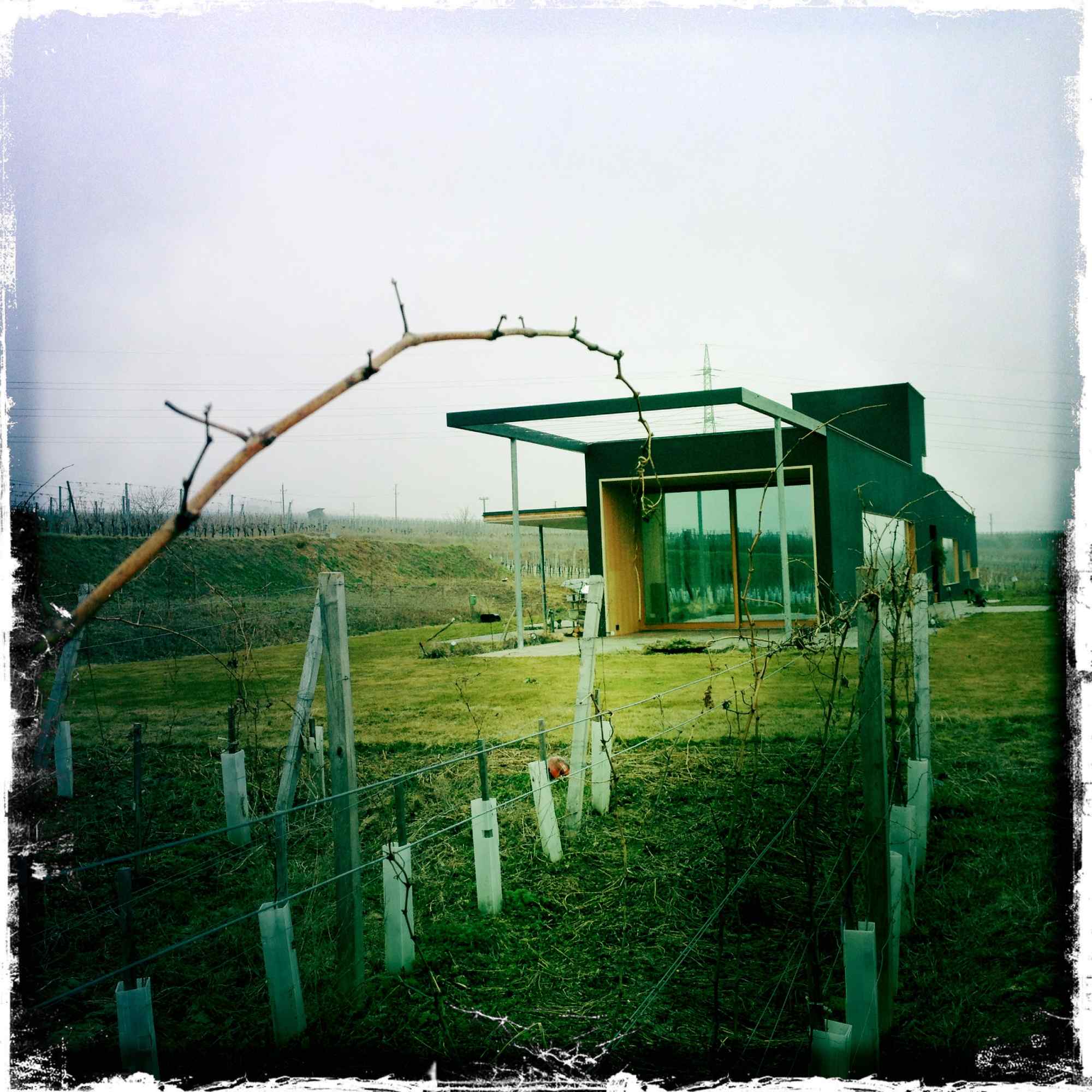 Zentrale Gartenachse mit Blick auf das Gebäude in Betonoptik