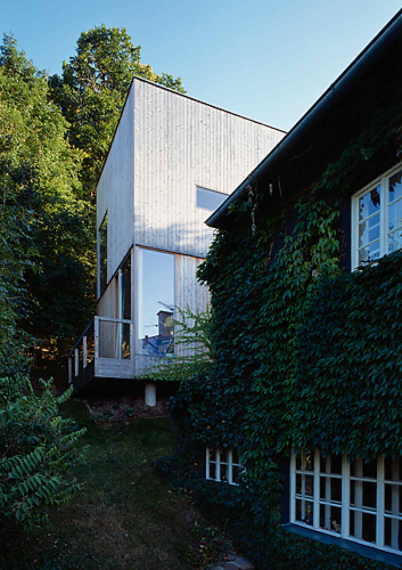 Rückseite des Hauses mit schwarzer Fassade, dicht bewachsen mit Efeu.