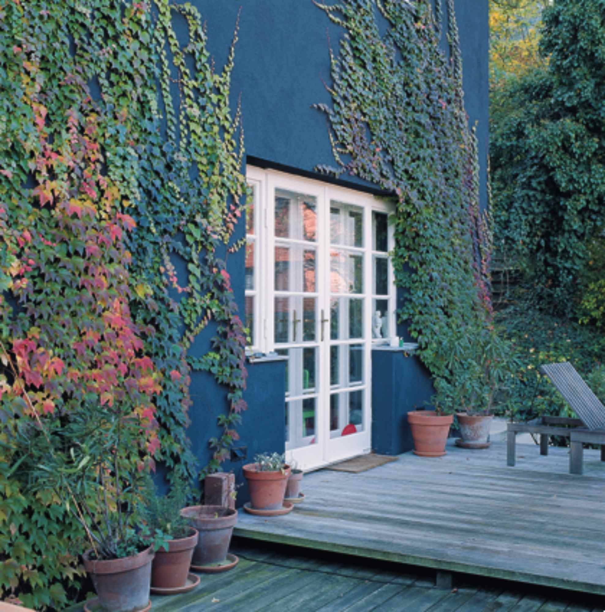 Terrasse mit Töpfen vor einer efeubewachsenen Wand und französischen Fenstern.
