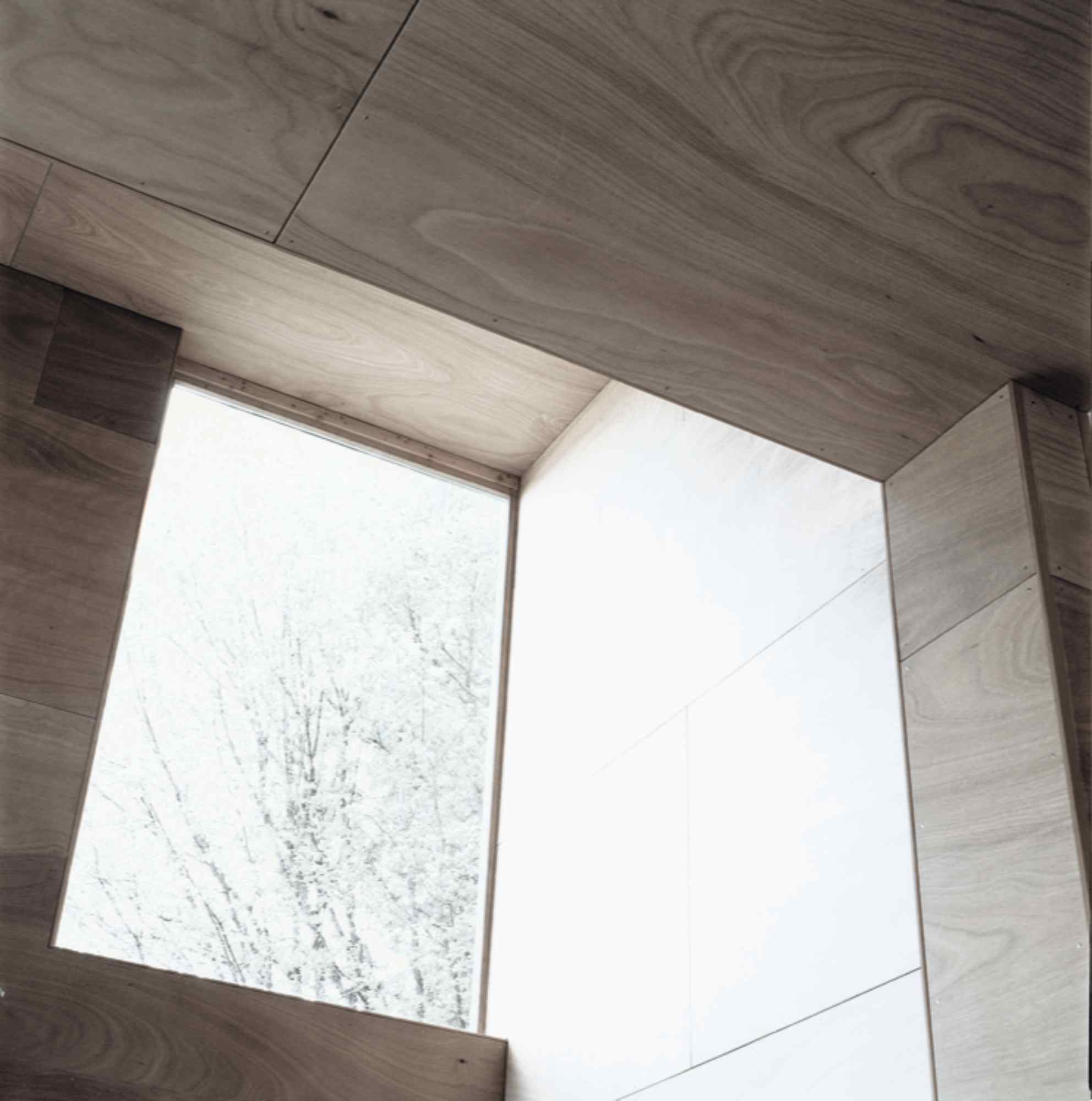 Innenraum mit holzverkleideter Decke und großem Oberlicht mit Blick auf Baumkronen.