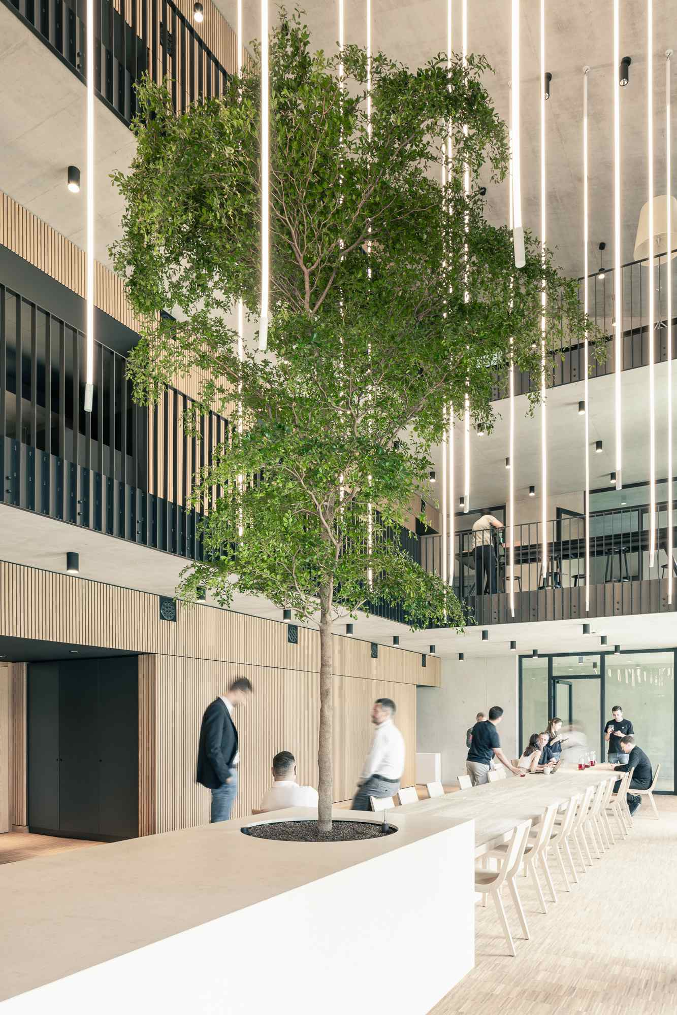 Blick in das offene, lichtdurchflutete Atrium mit zentral positioniertem Baum und Sitzgelegenheiten.