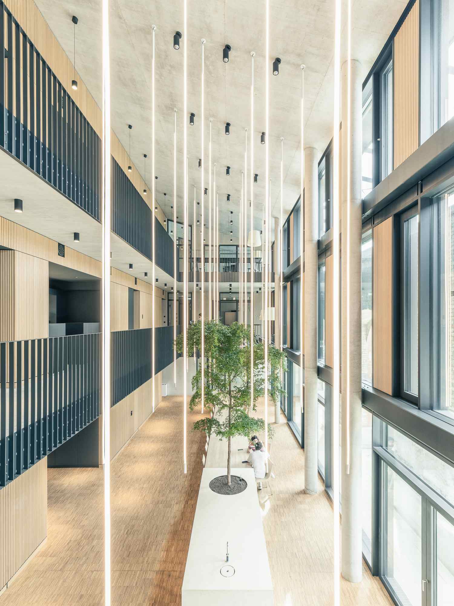 Innenhofgalerie mit Blick auf den zentralen Baum, flankiert von Büroeinheiten auf mehreren Ebenen.