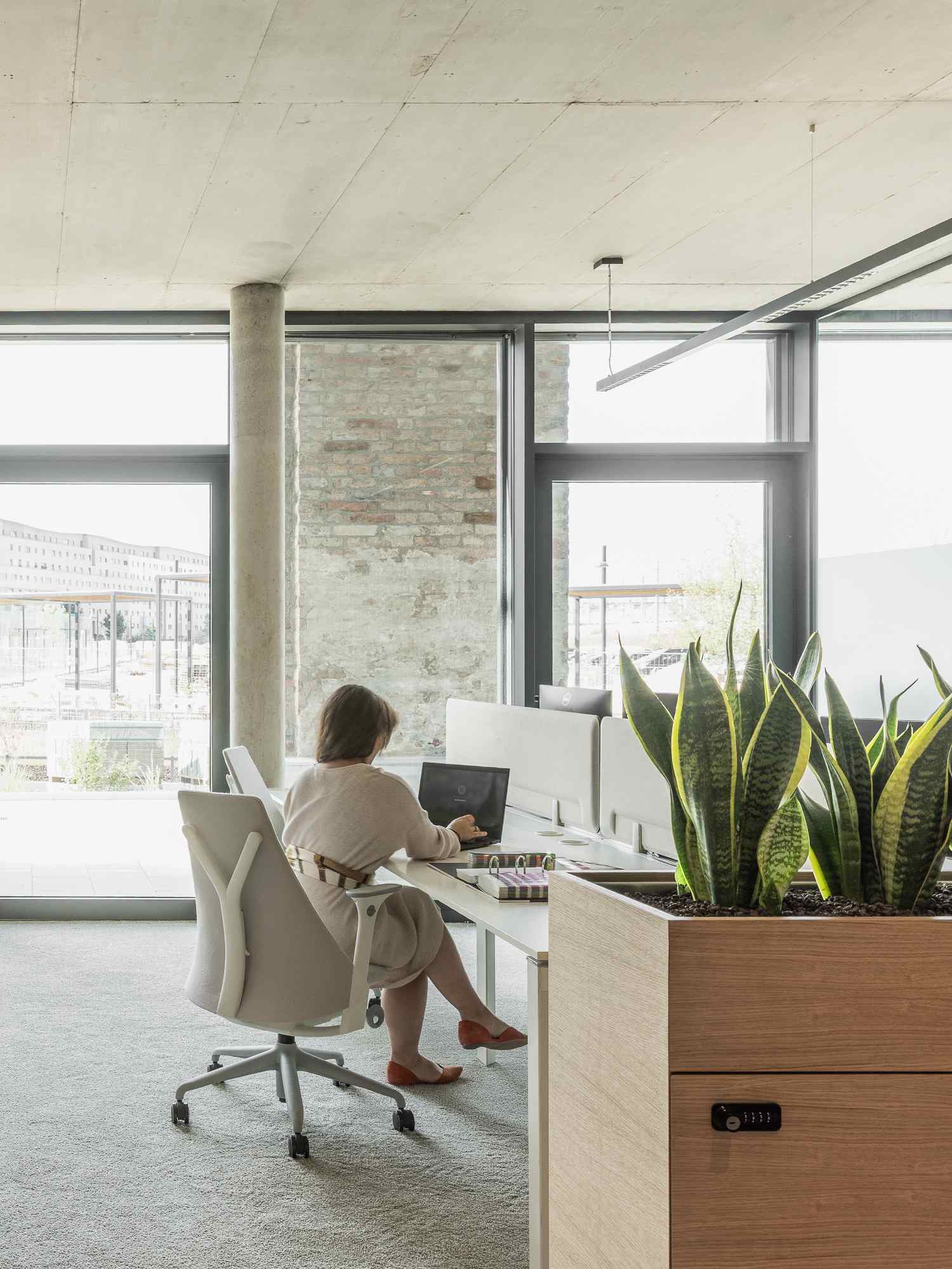 Moderne Bürofläche mit großem Fenster, natürlichem Licht und begrüntem Raumtrenner.