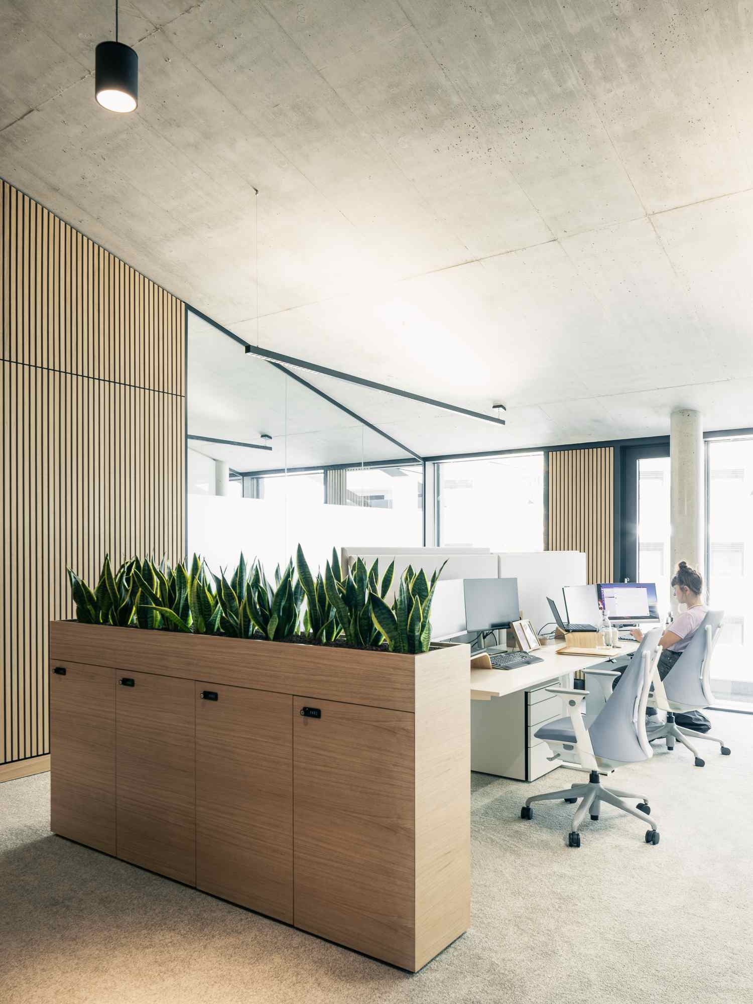 Flexible Arbeitsplätze mit Sichtbeton-Decke, viel Tageslicht und Pflanzen als Gestaltungselement.