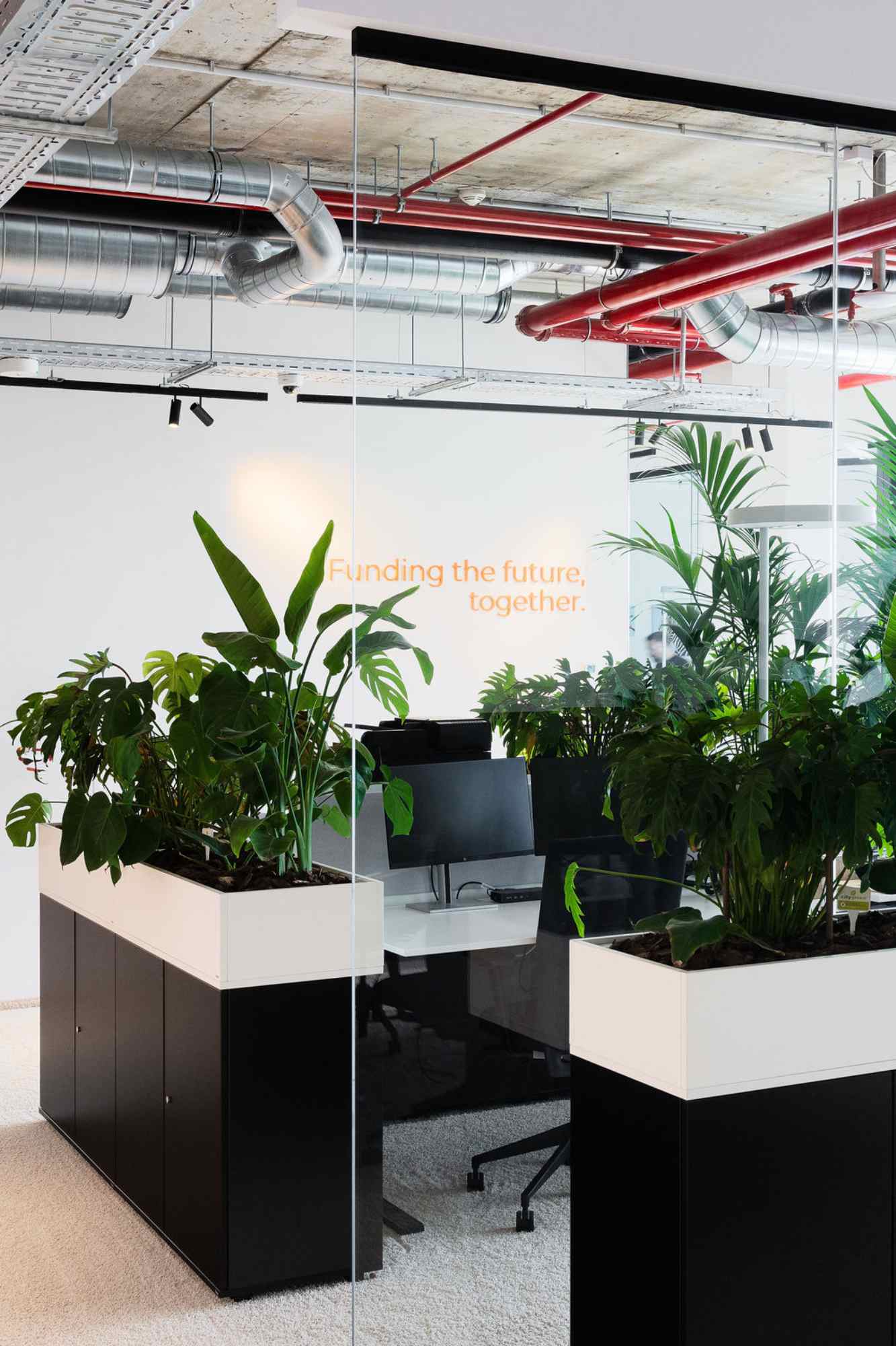 Büro mit Pflanzen und Arbeitsplätzen.