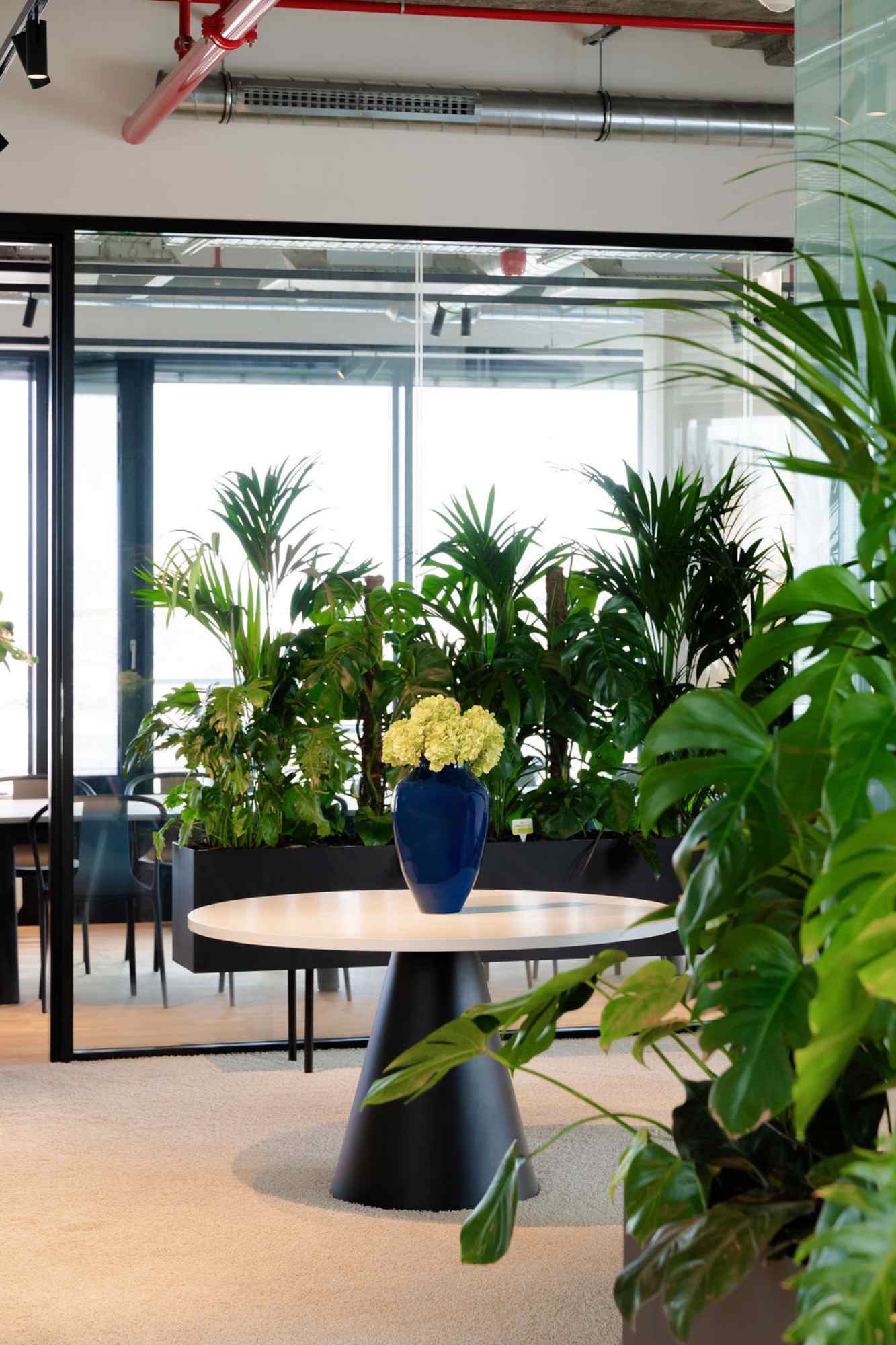 Runder Tisch mit Pflanzen.