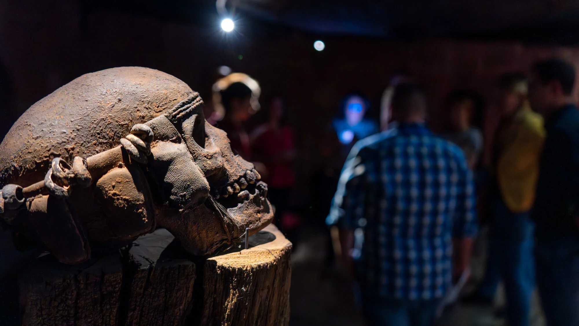 Des participants de l'enquête (et un crâne) rassemblés au Musée Vodou
