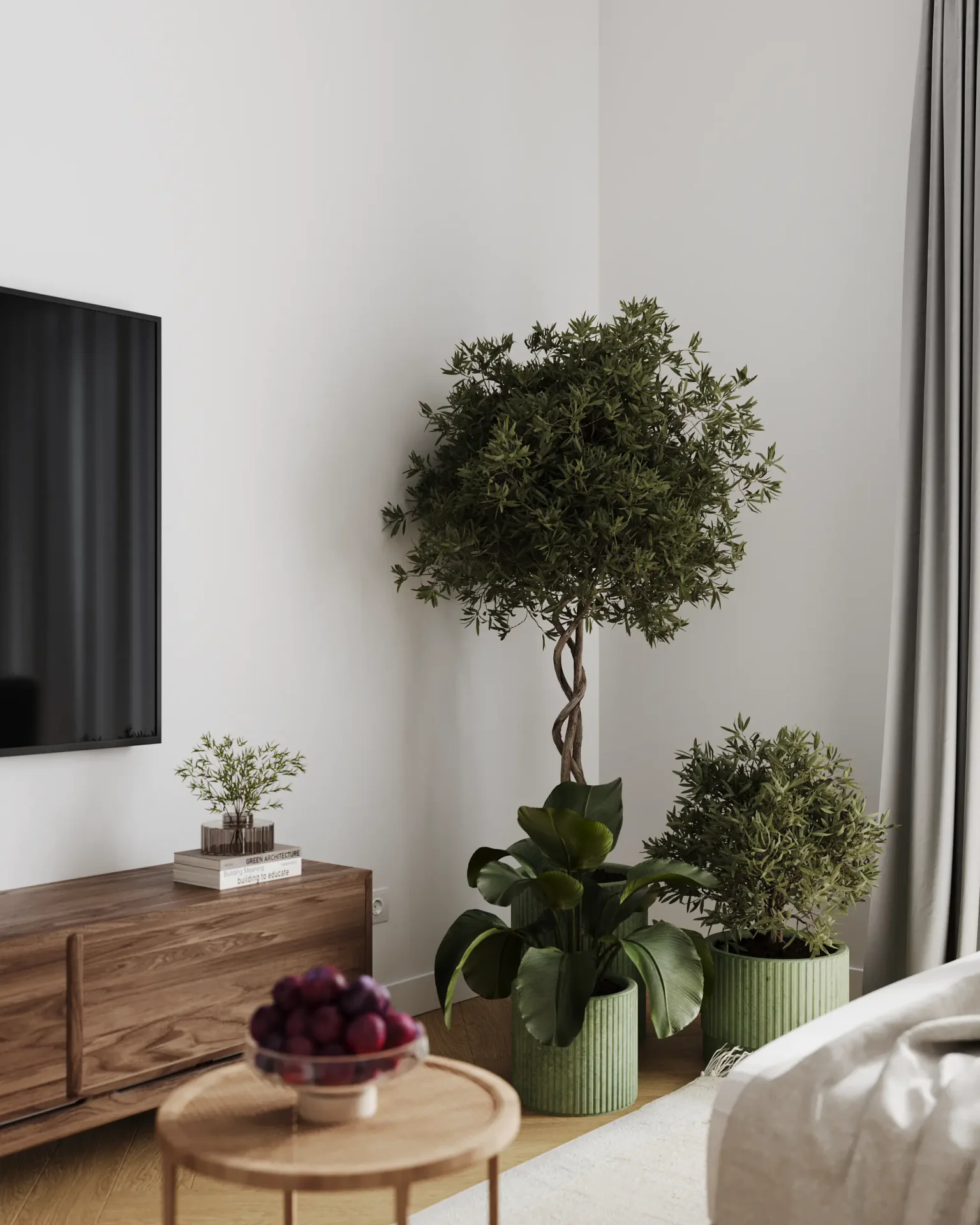 Close-up of an indoor plant corner near the TV zone.