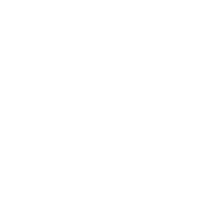 Paid Media