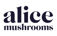 Alice Mushrooms
