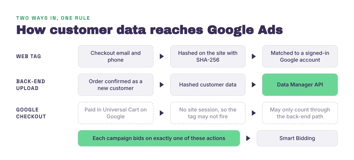 Two ways customer data reaches Google Ads. The web tag hashes checkout email and phone and matches them to signed-in Google accounts. The back-end upload sends confirmed new-customer orders with hashed data through the Data Manager API. Orders paid in Universal Cart on Google may not fire the tag, so they may only count through the back-end path.