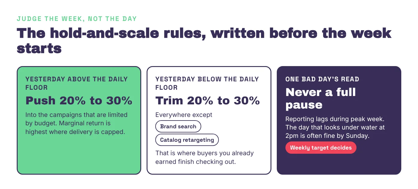 Hold and scale rules for BFCM week: push 20 to 30 percent above the daily floor, trim 20 to 30 percent below it except brand search and catalog retargeting, never a full pause on one day