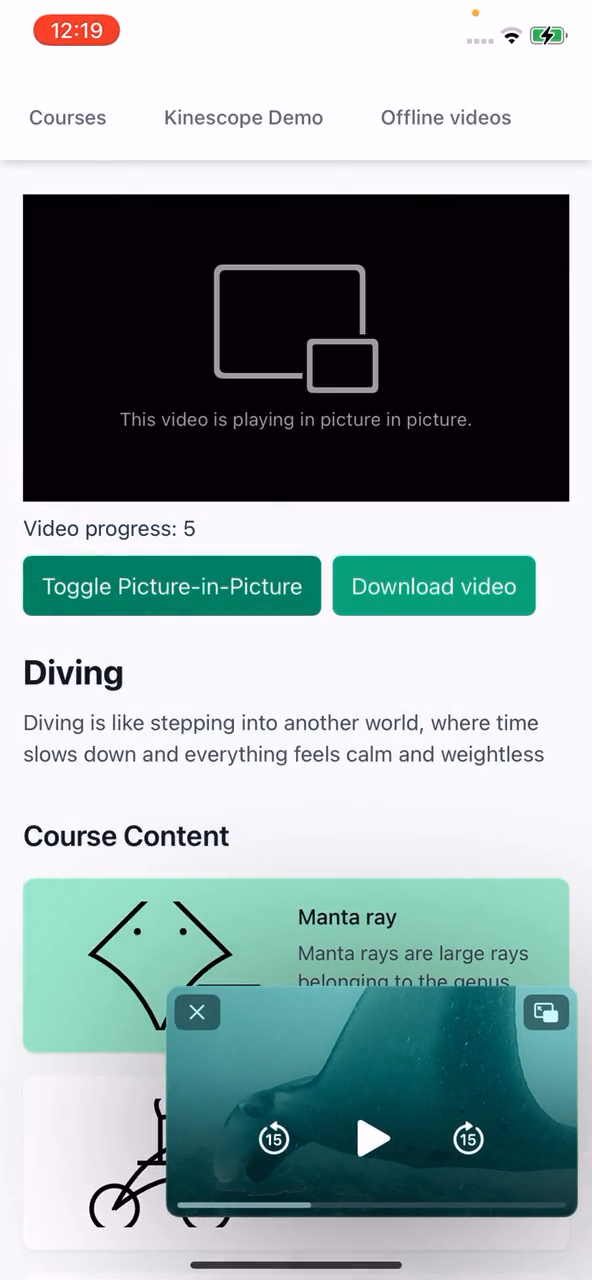 Интерфейс видео-уроков