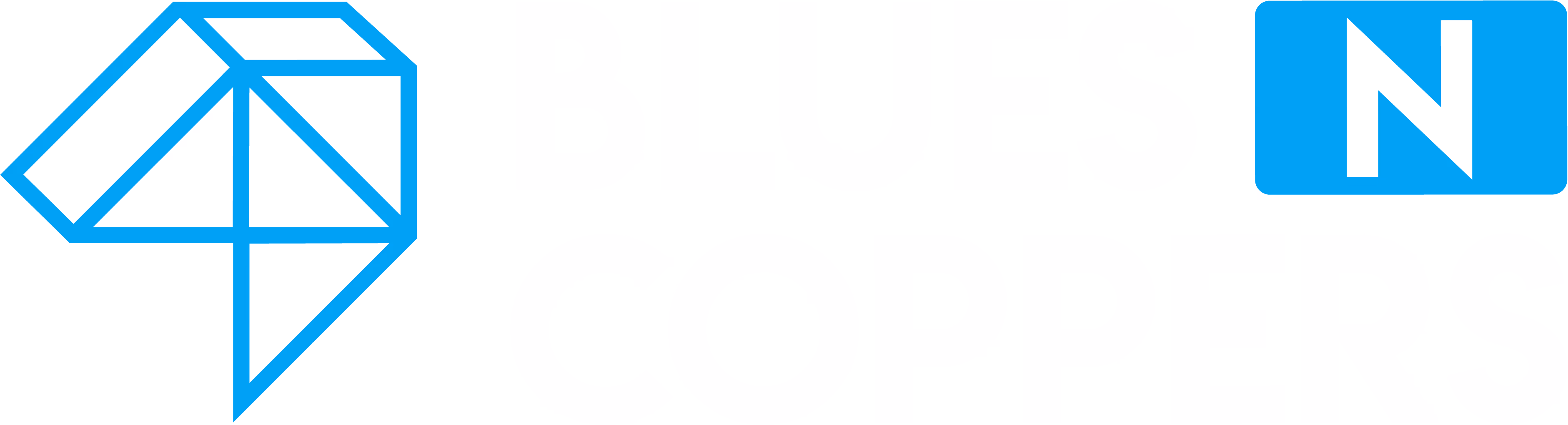 Blues N Coppers logo (reverse)