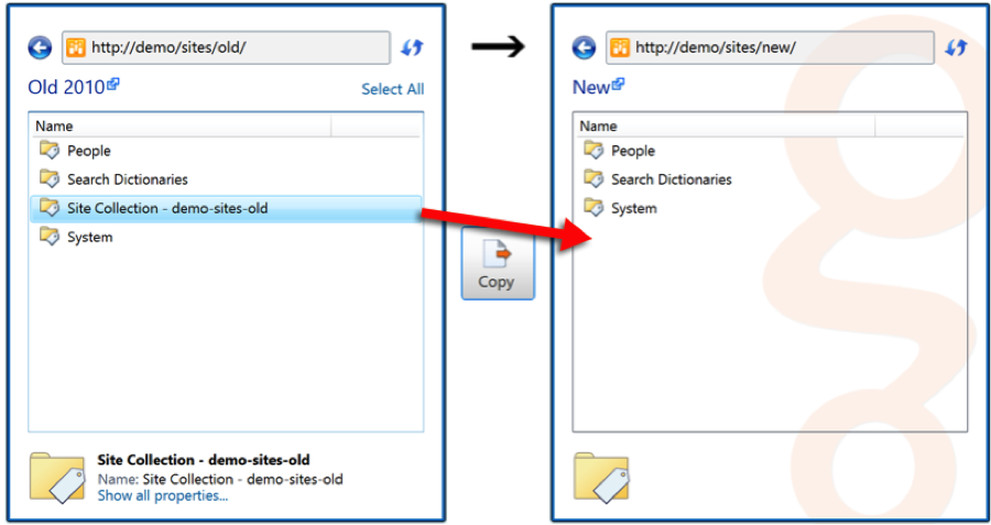 Sharegate SharePoint Migration Term Group
