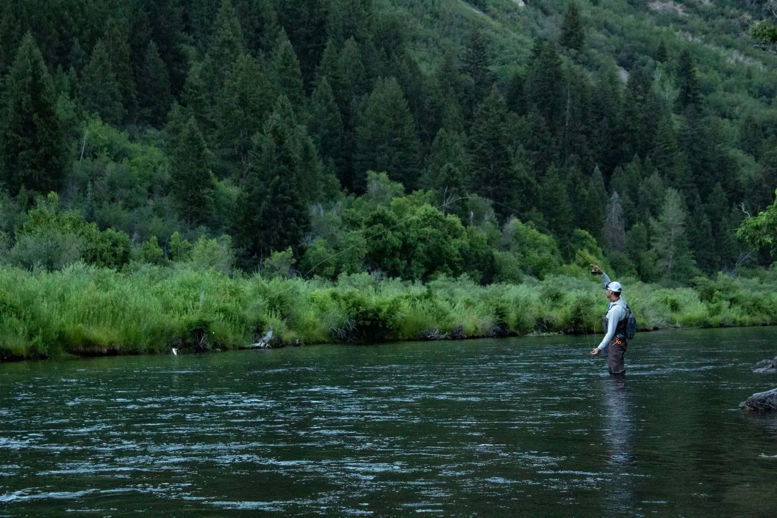 fishing