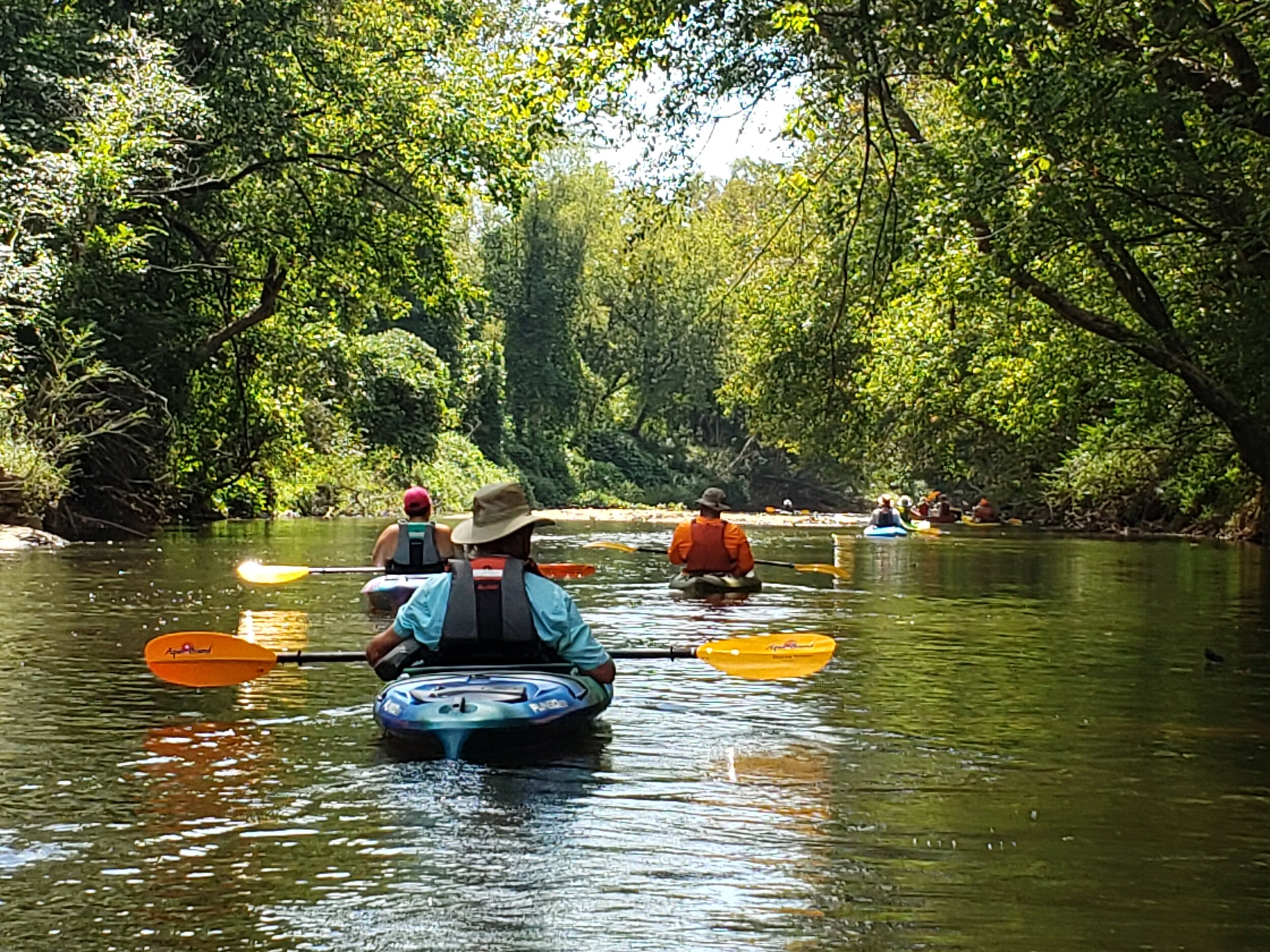 Group of kayakers paddling down the calm Yadkin River surrounded by green trees and foothill views