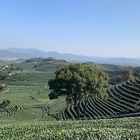 The land scape of China.