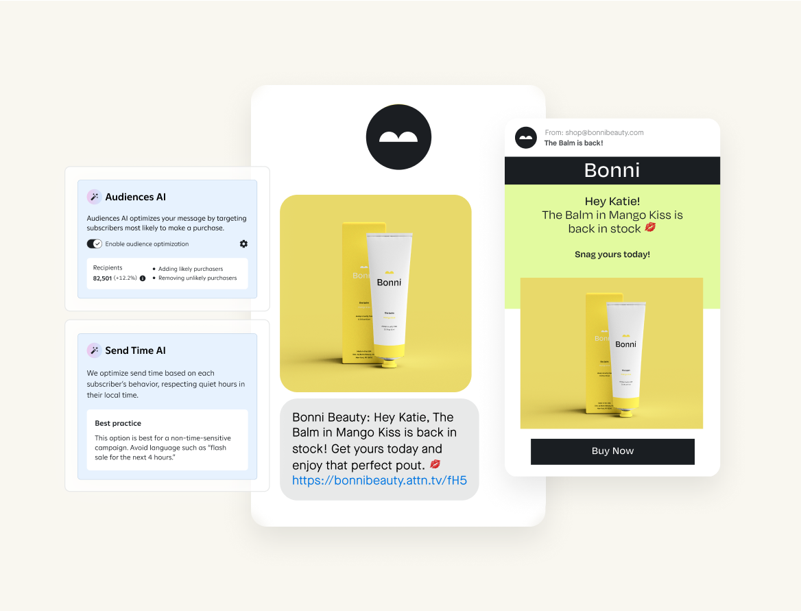 Examples of Attentive Audiences AI and Send Time AI