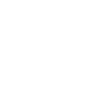 Icon Shape