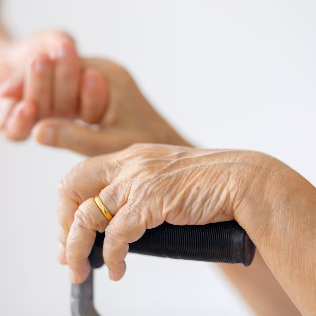 Why work with zenithx venture for your shopify ecommerce site in ontario canada