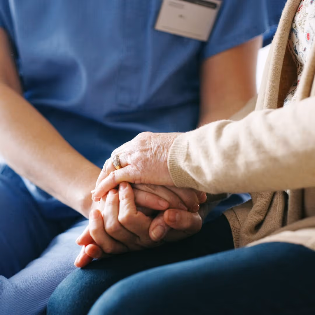 Why work with zenithx venture for your shopify ecommerce site in ontario canada